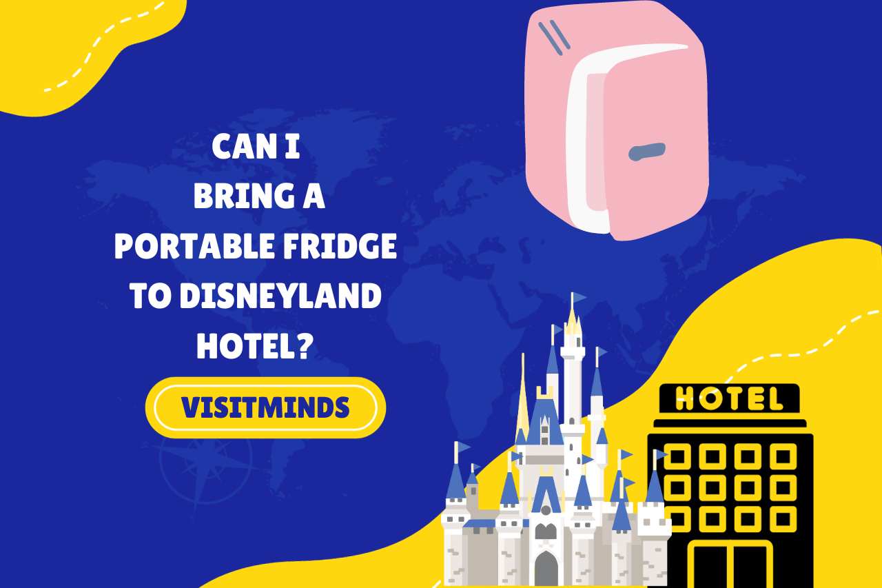 Can I Bring a Portable Fridge to Disneyland Hotel
