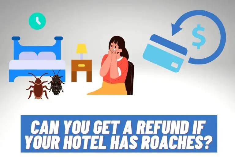 Can you Get a Refund If Your Hotel Has Roaches?