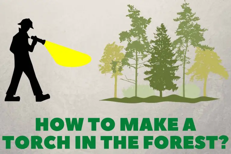 How to Make a Torch in the Forest? – The Easy Way!