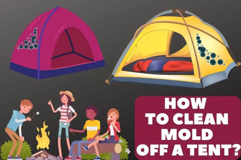 How to Clean Mold off a Tent? – Fantastic Solutions 